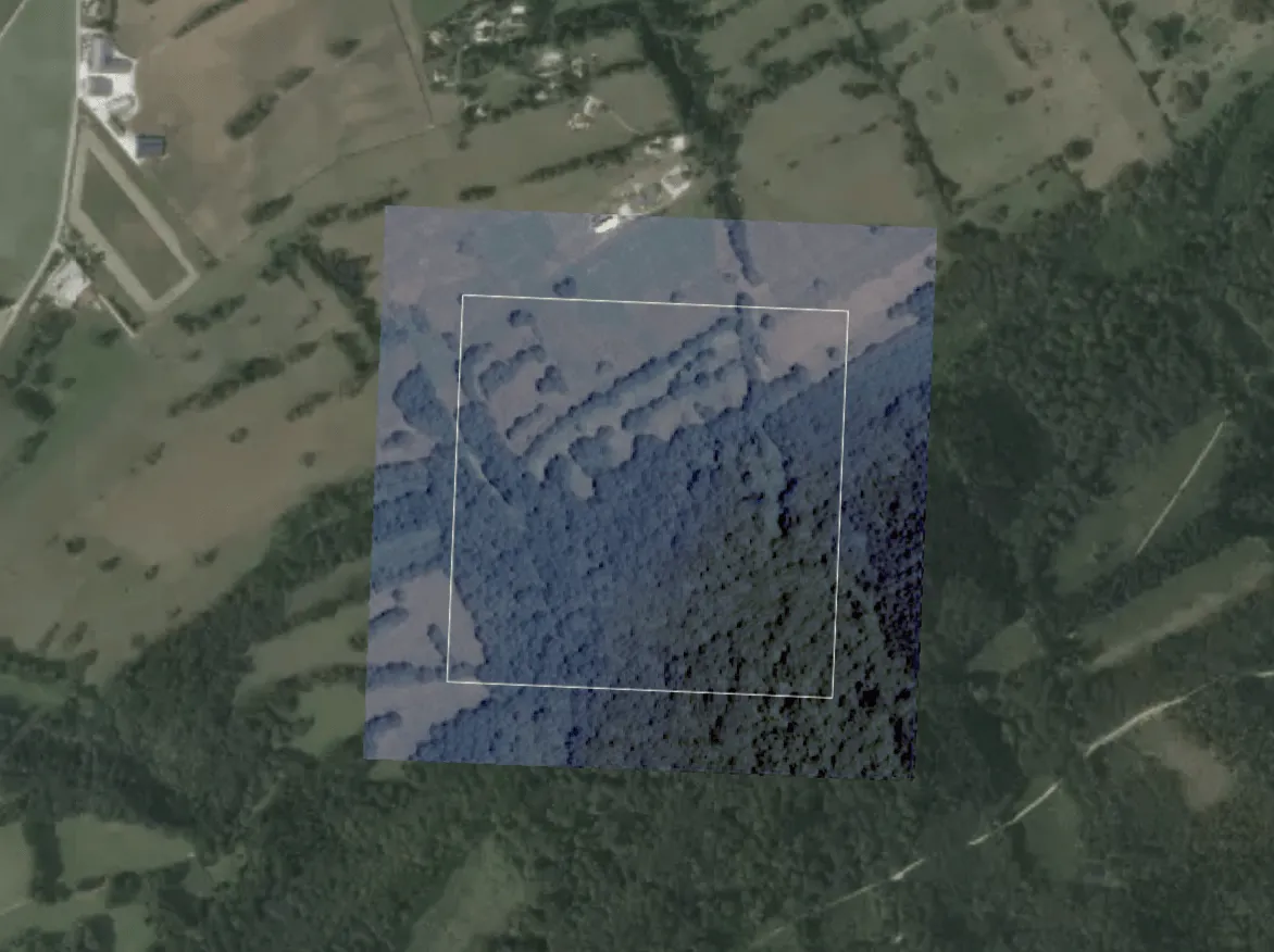 Évolution satellite d’une zone forestière