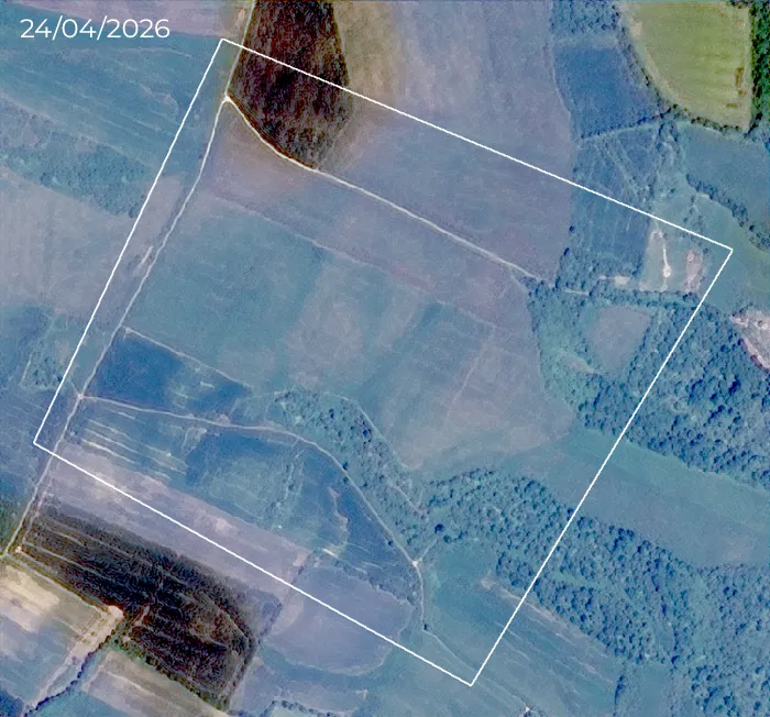 Images satellite d’un périmètre de surveillance — 24/04/2026