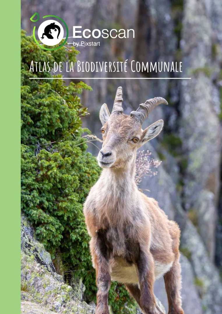 Exemple de rapport Ecoscan pour un Atlas de la biodiversité communale