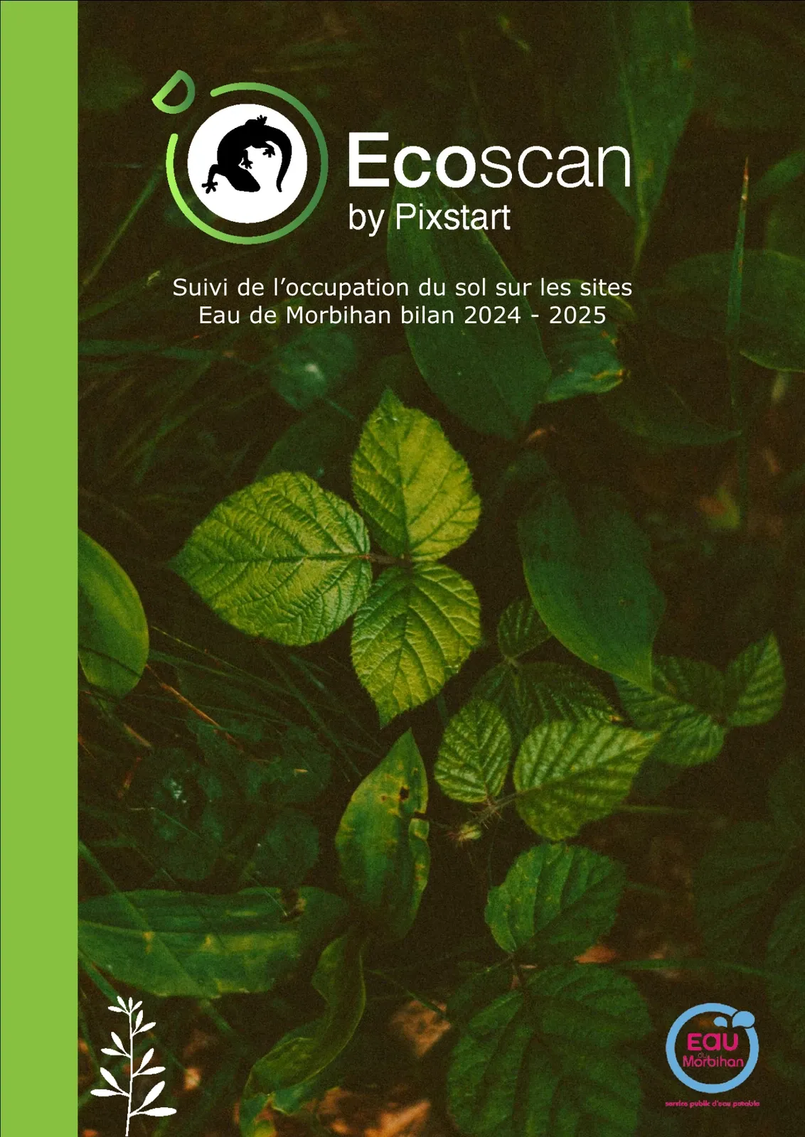 Exemple de rapport de diagnostic Ecoscan