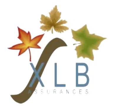 XLB