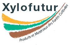 Xylofutur
