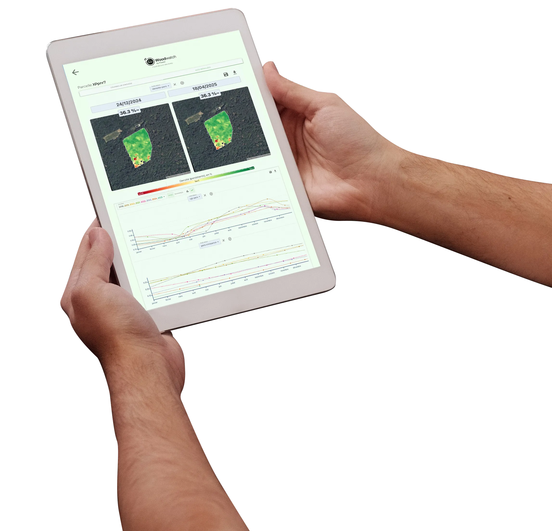 Tablette affichant une interface de suivi forestier Woodwatch